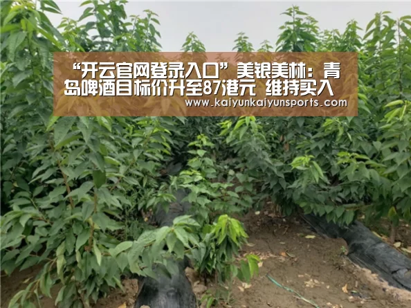 “开云官网登录入口”美银美林：青岛啤酒目标价升至87港元 维持买入评级