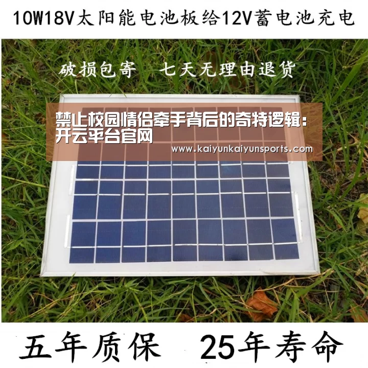 禁止校园情侣牵手背后的奇特逻辑:开云平台官网(图3) 禁止校园情侣牵手背后的奇特逻辑:开云平台官网(图3)